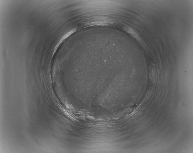 X0000055981026200509091948