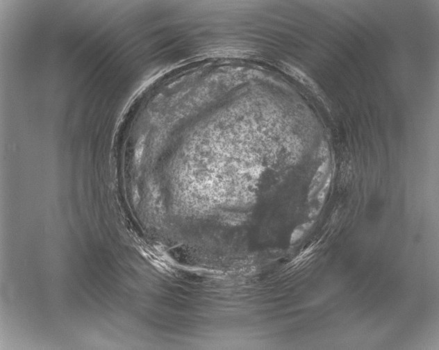 X0000055981027200509091948