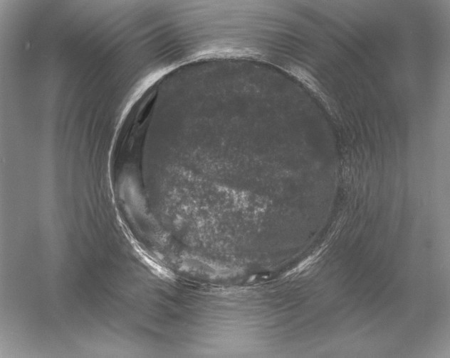 X0000055981030200509091948