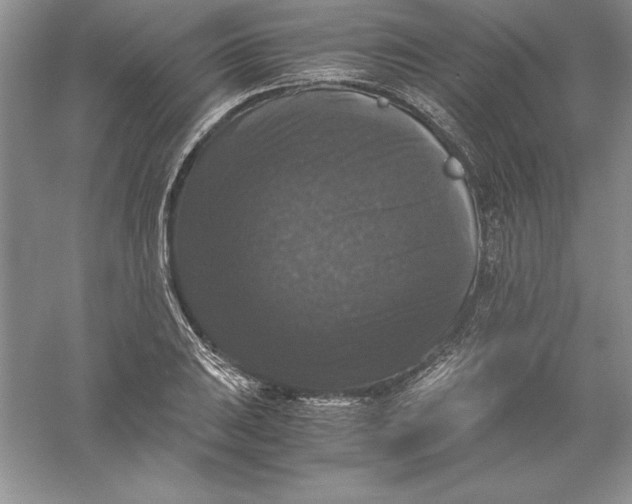 X0000055981031200509091948