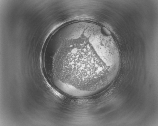 X0000055981032200509091948