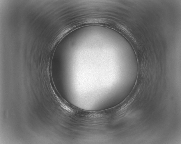 X0000055981033200509091948