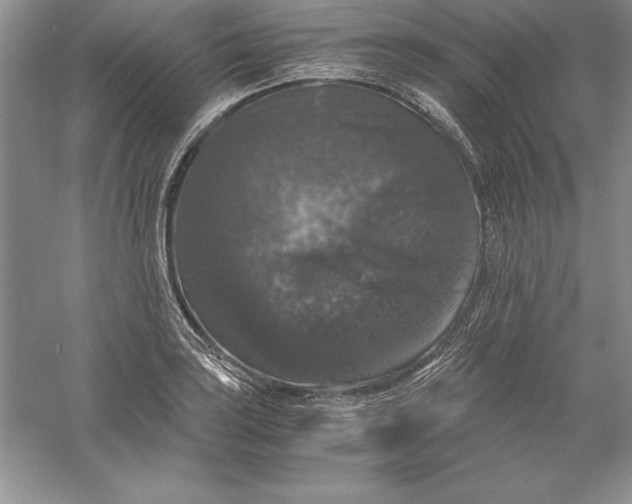 X0000055981035200509091948