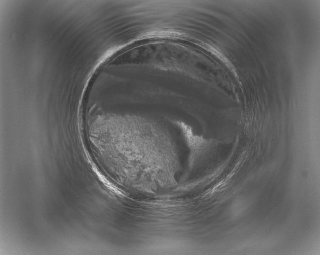 X0000055981037200509091948