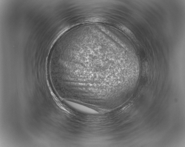 X0000055981039200509091948