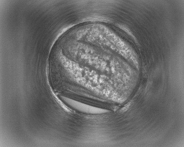 X0000055981040200509091948