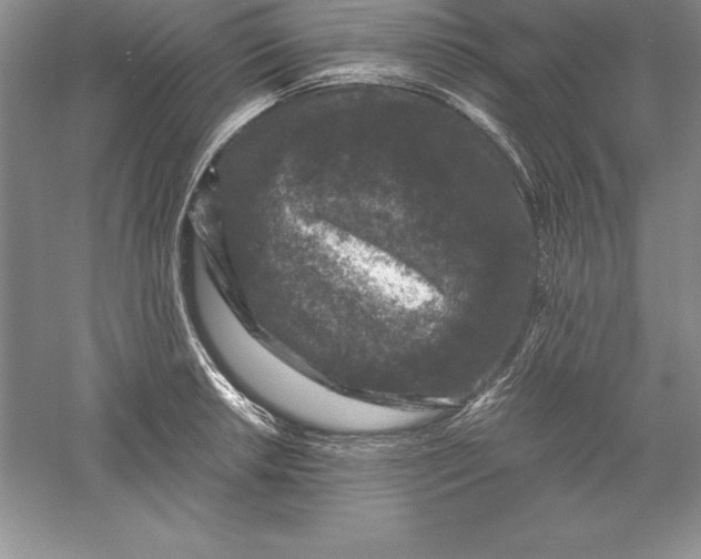 X0000055981042200509091948