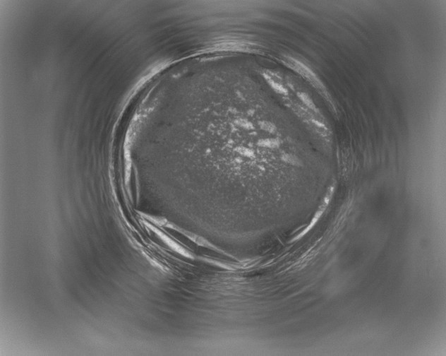 X0000055981043200509091948