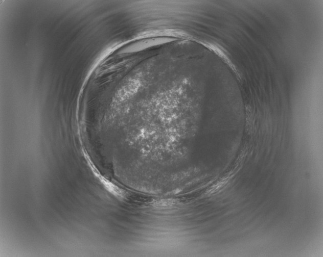 X0000055981046200509091948