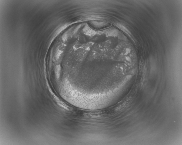 X0000055981047200509091948