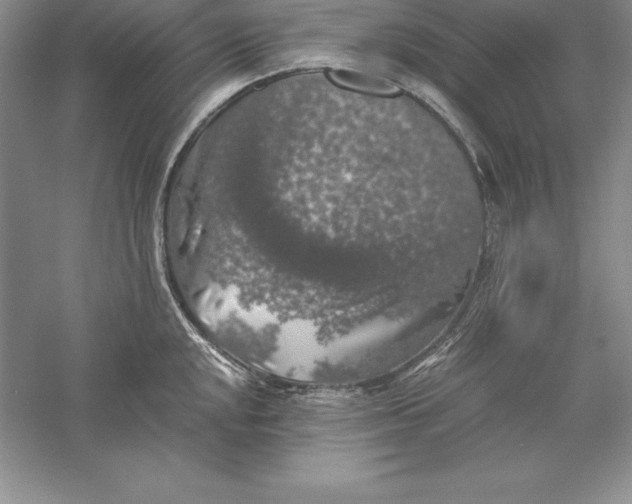 X0000055981048200509091948