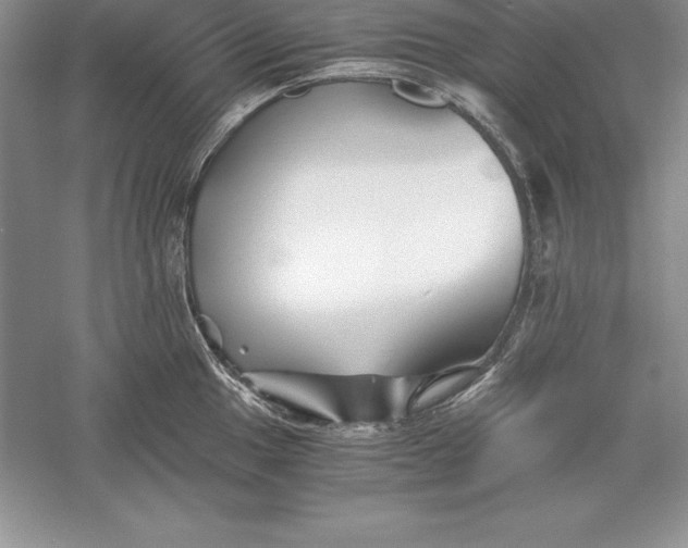 X0000055981049200509091948