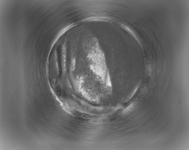 X0000055981050200509091948