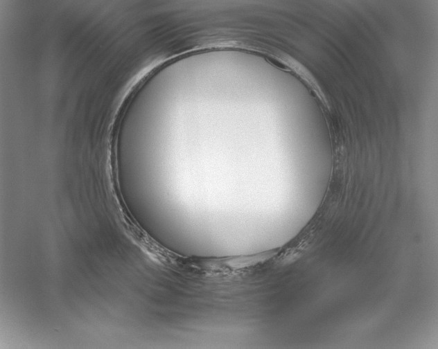 X0000055981051200509091948