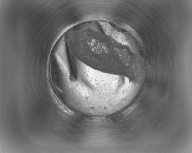 X0000055981052200509091948