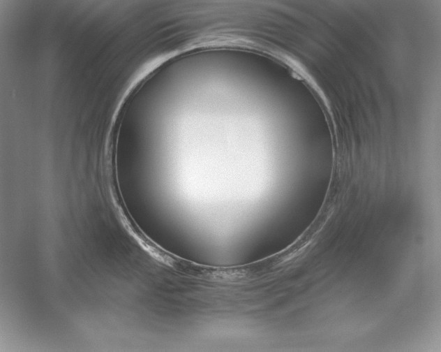 X0000055981053200509091948