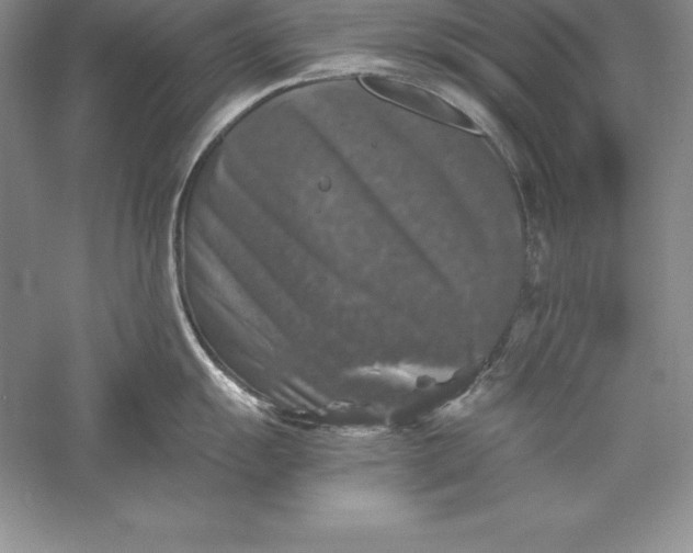 X0000055981055200509091948