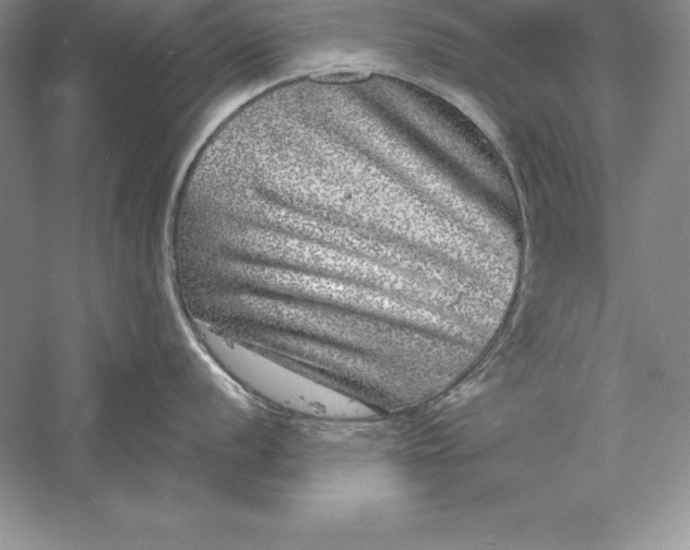 X0000055981056200509091948