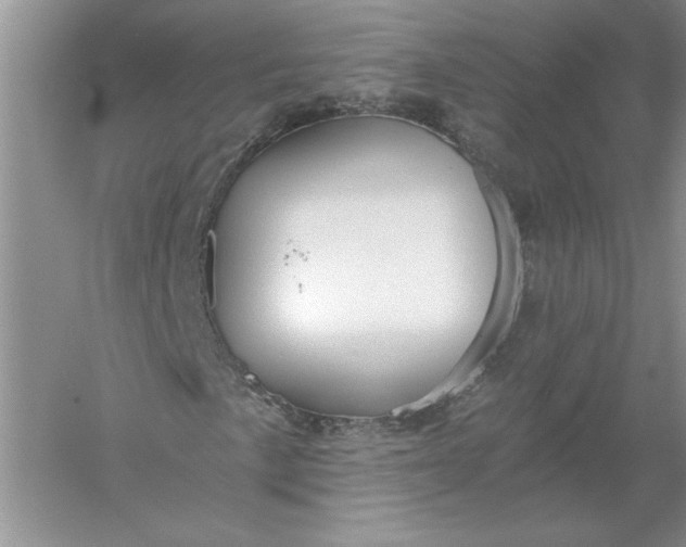 X0000055981057200509091947