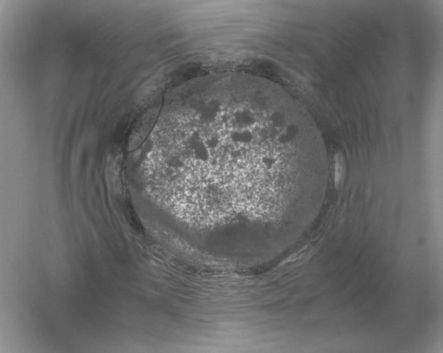 X0000055981059200509091947