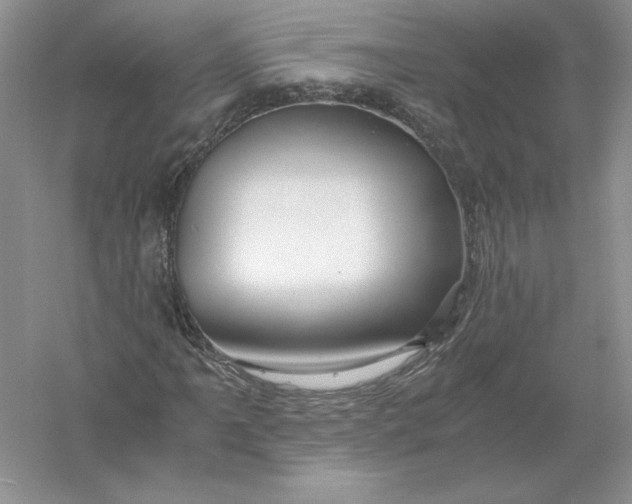 X0000055981061200509091947