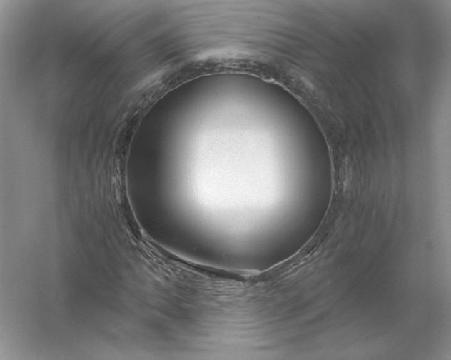 X0000055981062200509091947