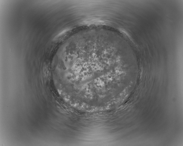 X0000055981063200509091947