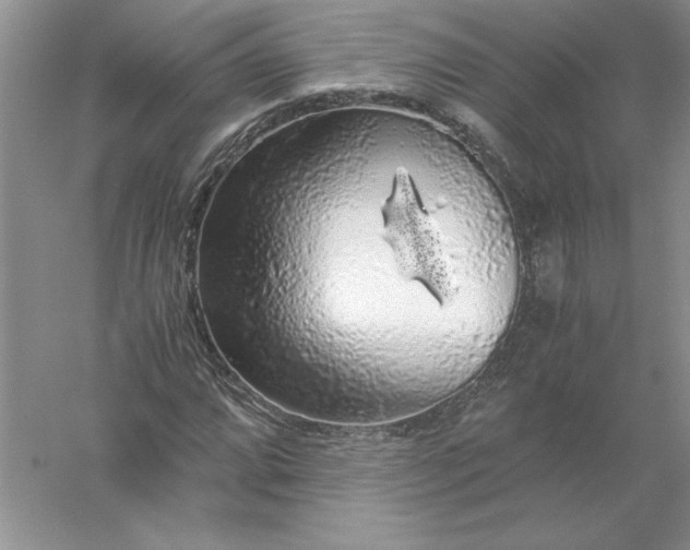 X0000055981064200509091947