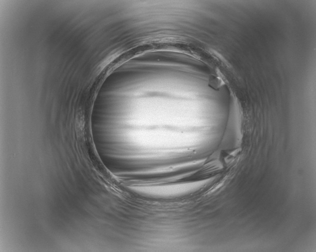 X0000055981065200509091947