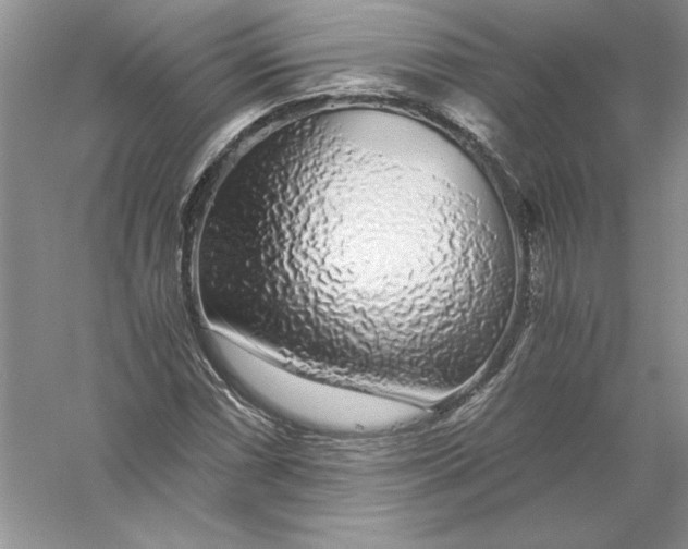 X0000055981066200509091947