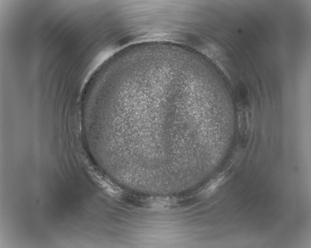 X0000055981069200509091947