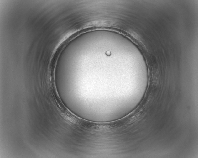 X0000055981070200509091947