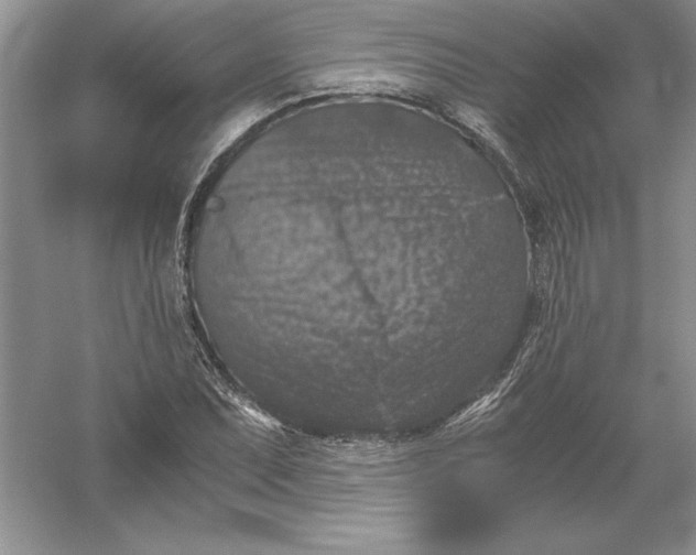 X0000055981071200509091947