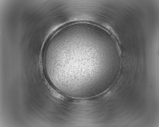 X0000055981072200509091947