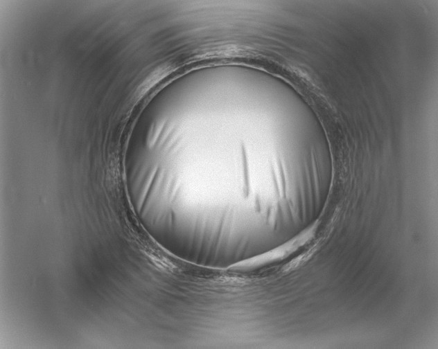 X0000055981073200509091947