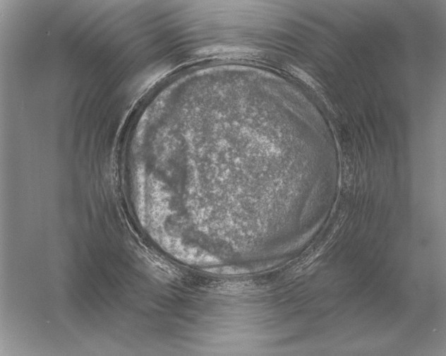 X0000055981074200509091947