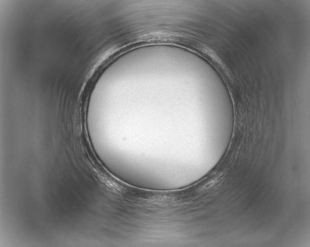 X0000055981075200509091947