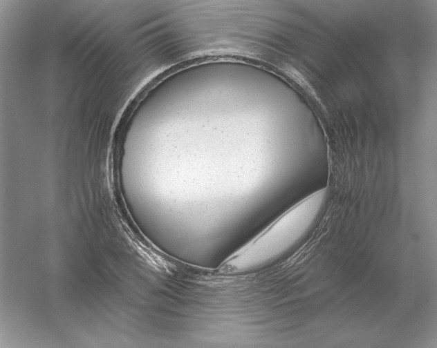 X0000055981076200509091947