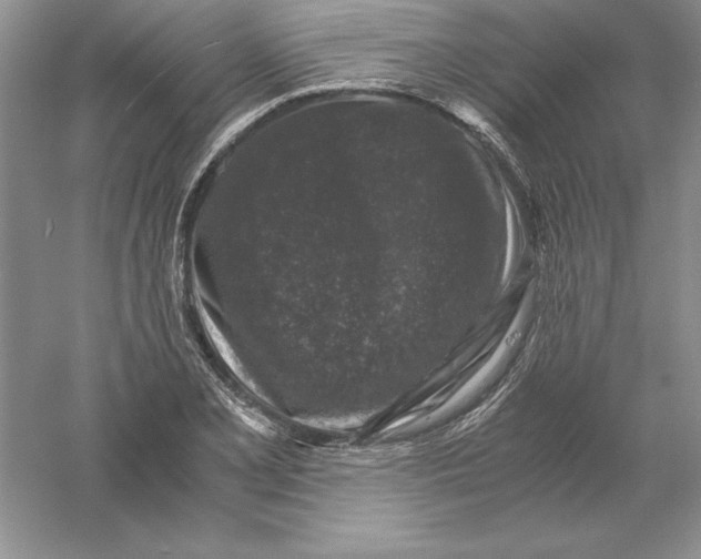 X0000055981077200509091947