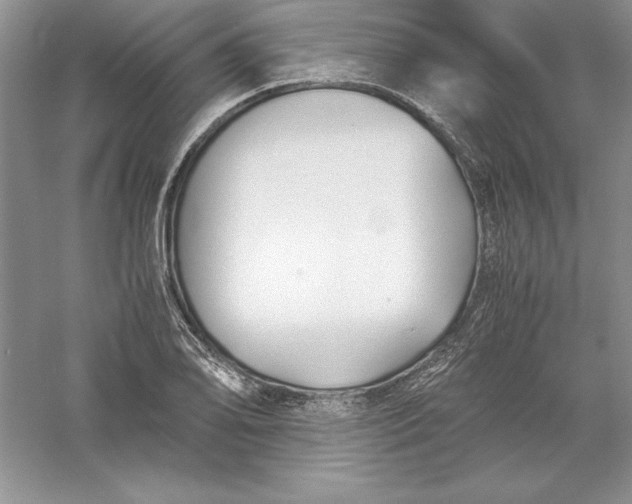 X0000055981078200509091947