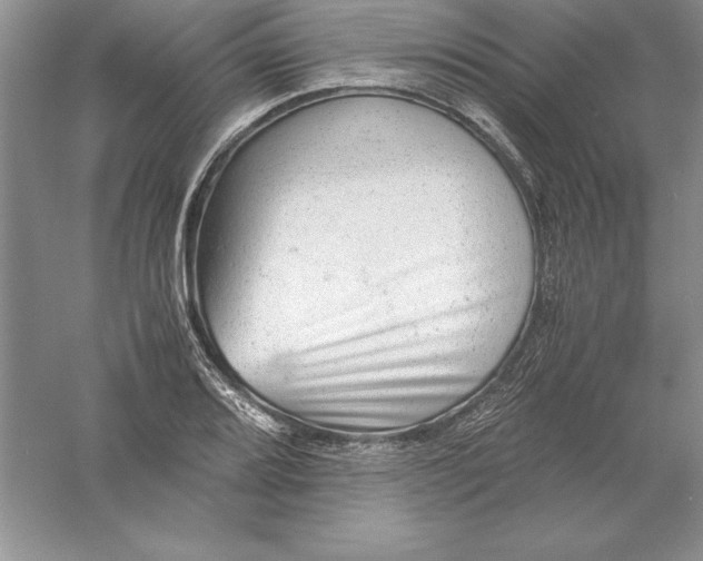 X0000055981080200509091947