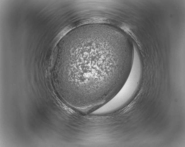 X0000055981081200509091947