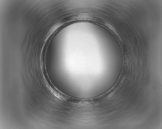 X0000055981082200509091947