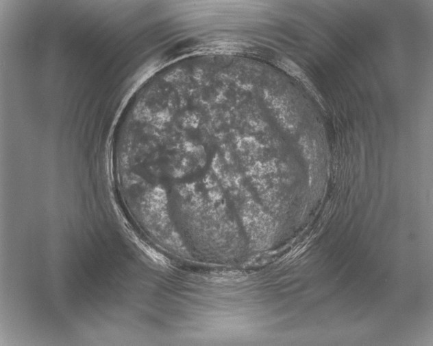 X0000055981083200509091947