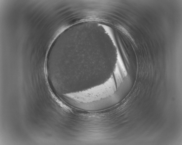 X0000055981084200509091947