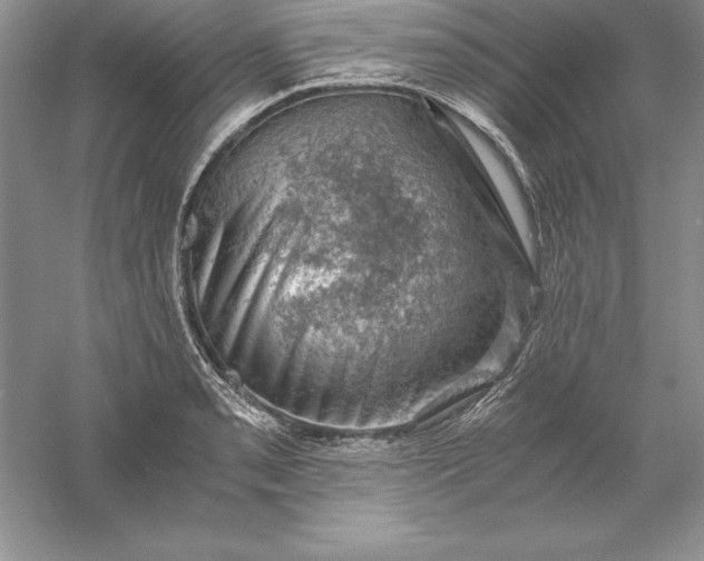 X0000055981085200509091947