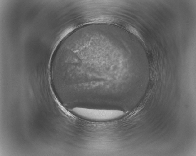 X0000055981087200509091947