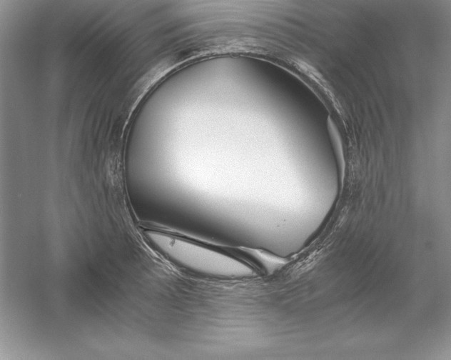 X0000055981089200509091947