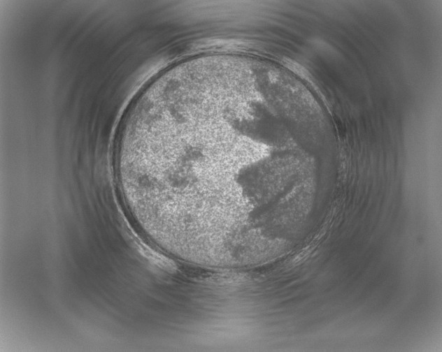 X0000055981090200509091947