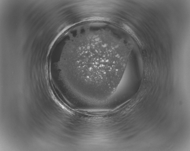 X0000055981092200509091947